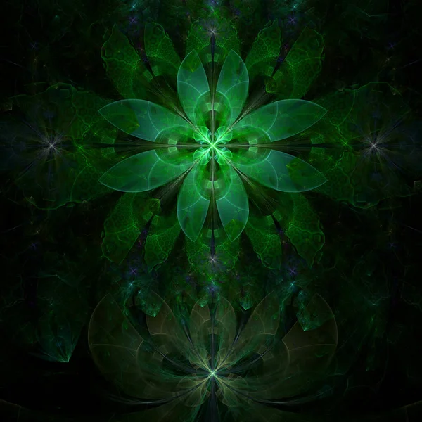 Soyut Fraktal Arkaplan Diğer Yıldızların Çiçeklerin Karmaşık Geometrik Desenlerine Sahip — Stok fotoğraf