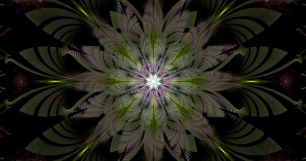 快速变色的环状抽象分形视频 中央有白色的大花朵和装饰星形的花朵 周围有发光的颜色 4096P 25Fps — 图库视频影像