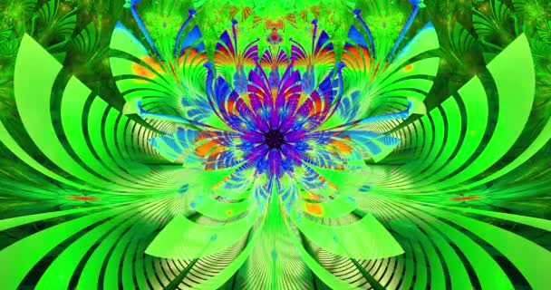 快速变化的色彩抽象的现代分形背景 扭曲的 相互连接的迷幻空间花朵 其周围装饰图案复杂 色彩鲜活鲜活 — 图库视频影像