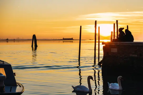 Murano 'nun günbatımında iki kuğu.