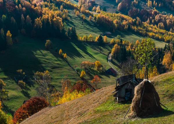 Romanya 'nın renkli kırsal çayırları, kırsal köydeki yeşil alanlar.
