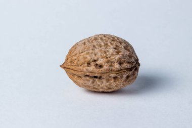 Beyaz arka planda bir fındık