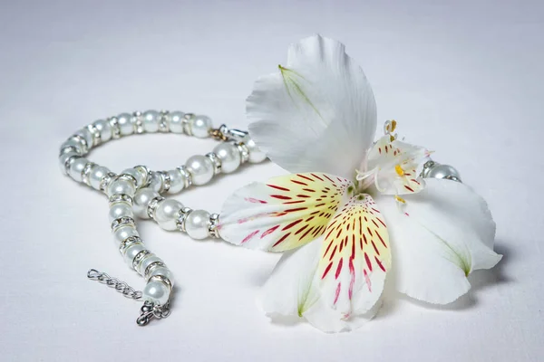 Λευκό Λουλούδι Και Λευκό Μαργαριτάρι Κοσμήματα Που Βρίσκονται Λευκό Φόντο — Φωτογραφία Αρχείου