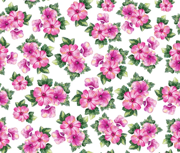 Розовые Цветки Лаватера Нежный Букет Цветов Красивые Розовые Цветы Lavatera — стоковое фото
