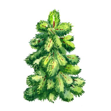 Suluboya Noel ağacı çizimi. Yeni yıl kartın kutlu olsun Noel ağacının izole edilmiş, fiyonk, balo, yeni yıl ve kutlamalarla süslenmiş..