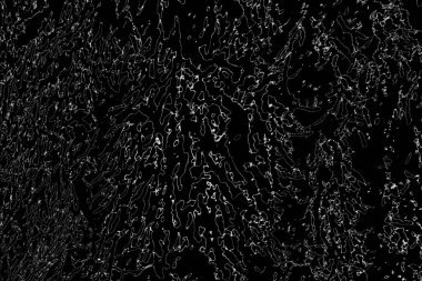 Soyut arkaplan. Monokrom dokusu. Resim siyah ve beyaz tonları içerir.