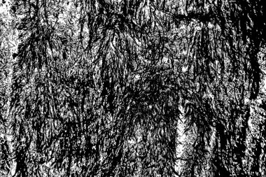 Soyut arkaplan. Monokrom dokusu. Resim siyah ve beyaz tonları içerir.