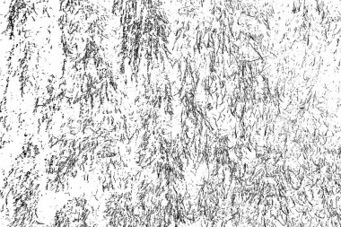 Soyut arkaplan. Monokrom dokusu. Resim siyah ve beyaz tonları içerir.