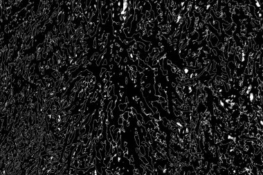 Soyut arkaplan. Monokrom dokusu. Resim siyah ve beyaz tonları içerir.