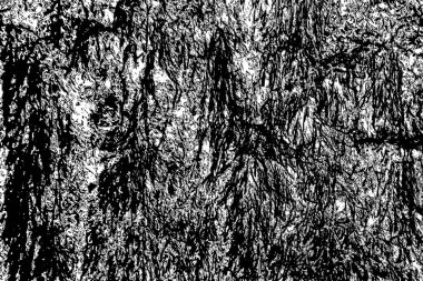 Soyut arkaplan. Monokrom dokusu. Resim siyah ve beyaz tonları içerir.