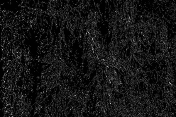 Soyut arkaplan. Monokrom dokusu. Resim siyah ve beyaz tonları içerir.