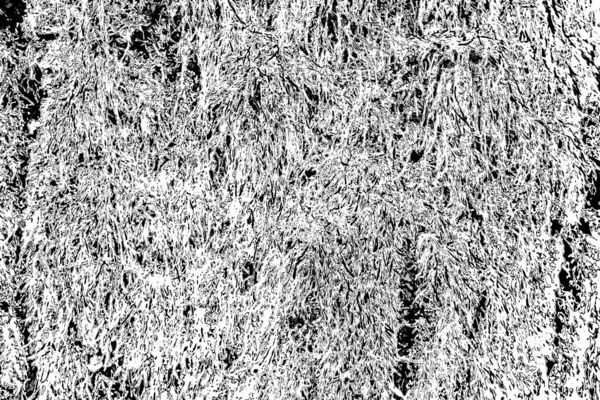 Abstrakt Baggrund Monokrom Tekstur Billedet Indeholder Effekt Sorte Hvide Toner - Stock-foto