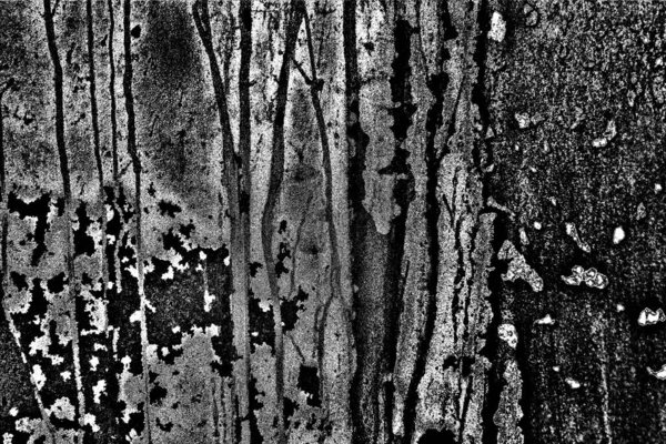 Abstract Background Monochrome Texture Image Includes Effect Black White Tones — Stock Photo, Image