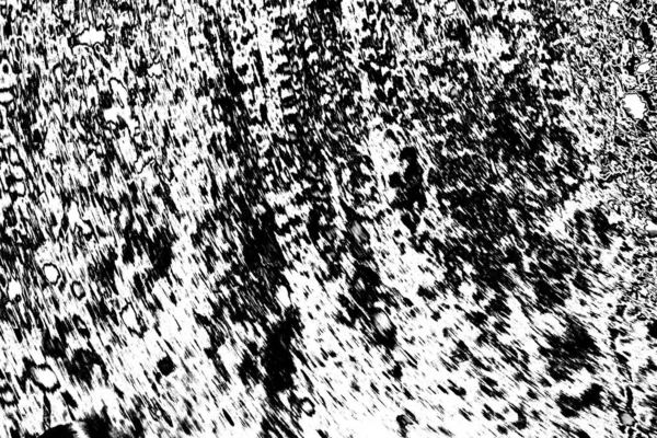 Fundo Abstrato Textura Monocromática Imagem Inclui Efeito Tons Preto Branco — Fotografia de Stock