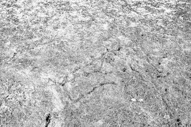 Soyut arkaplan. Monokrom dokusu. Siyah ve beyaz tonlarının etkisiyle görüntü.