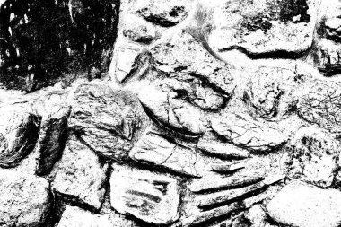 Soyut arkaplan. Monokrom dokusu. Siyah ve beyaz tonlarının etkisiyle görüntü.