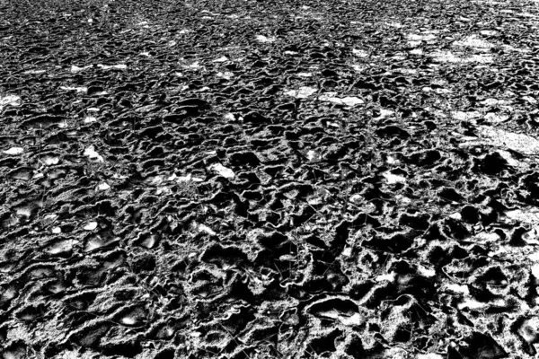 Texture Astratta Monocromatica Nei Toni Del Bianco Nero — Foto Stock