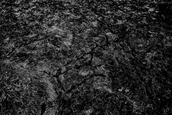 Abstract Background Monochrome Texture Image Effect Black White Tones — Stock Photo, Image