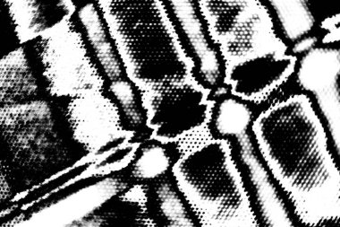 Siyah ve beyaz tonlarda soyut monokrom dokusu 