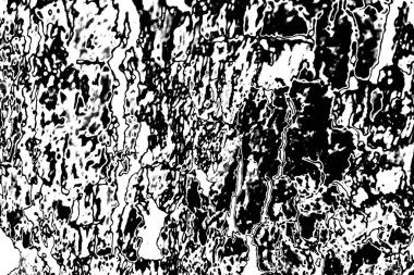 Siyah ve beyaz tonlarda soyut monokrom dokusu 