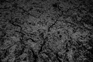 Soyut arkaplan. Monokrom dokusu. Siyah ve beyaz tonlarının etkisiyle görüntü.