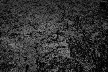 Soyut arkaplan. Monokrom dokusu. Siyah ve beyaz tonlarının etkisiyle görüntü.