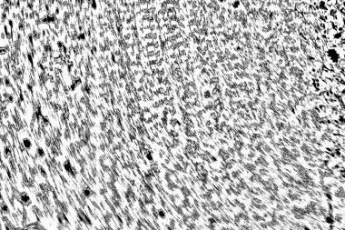 Soyut arkaplan. Monokrom dokusu. Siyah ve beyaz desenli arkaplan. 