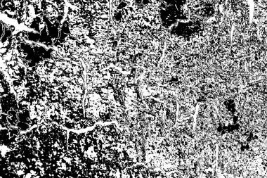 Siyah ve beyaz tonlarda soyut monokrom dokusu 