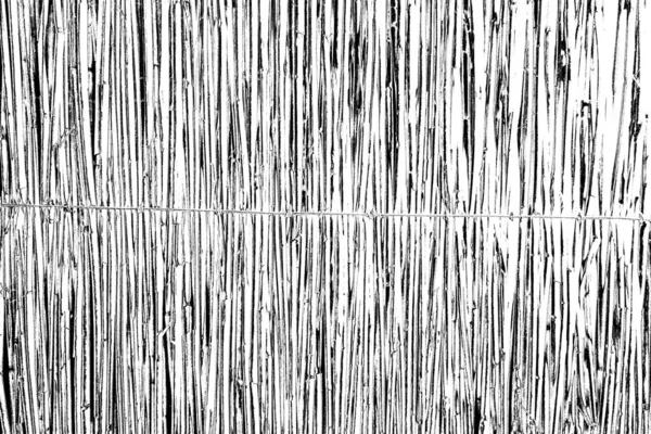 Abstract Monochrome Texture Black White Tones — Stock Photo, Image