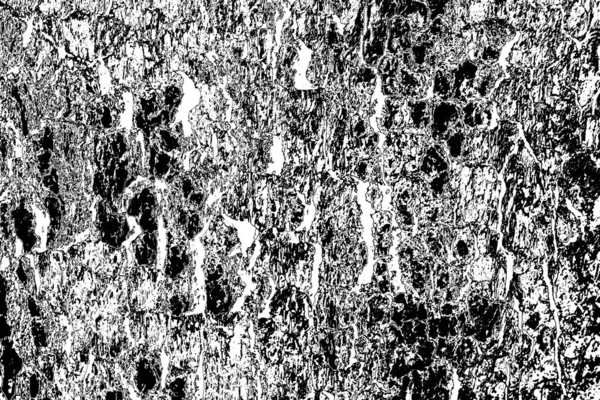 Textura Monocromática Abstracta Tonos Blanco Negro — Foto de Stock