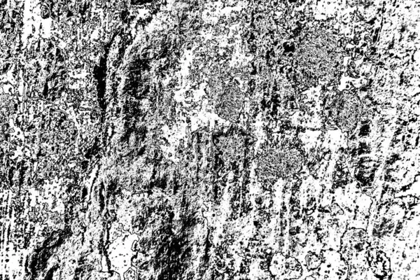 Siyah Beyaz Tonlarda Soyut Monokrom Dokusu — Stok fotoğraf