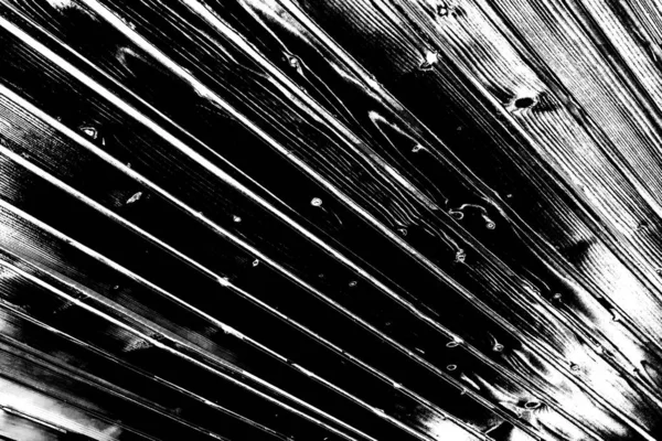 Abstract Background Monochrome Texture Image Effect Black White Tones — Stock Photo, Image