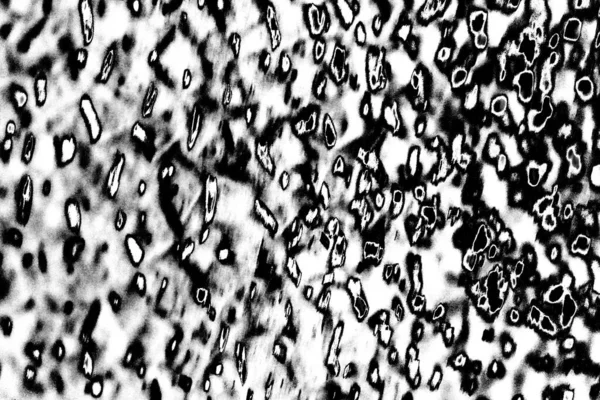Textura Monocromática Abstracta Tonos Blanco Negro — Foto de Stock