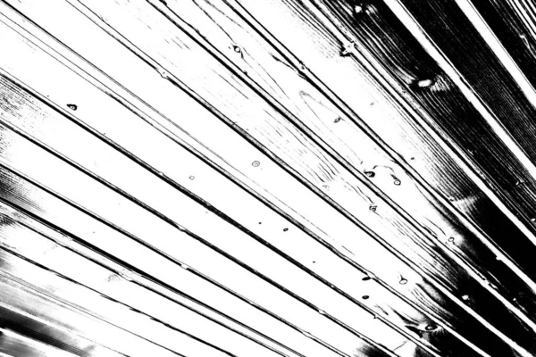 Abstrakt Baggrund Monokrom Tekstur Billede Med Effekt Sorte Hvide Toner - Stock-foto