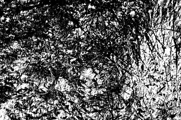 Fondo Abstracto Textura Monocromática Fondo Texturizado Blanco Negro — Foto de Stock