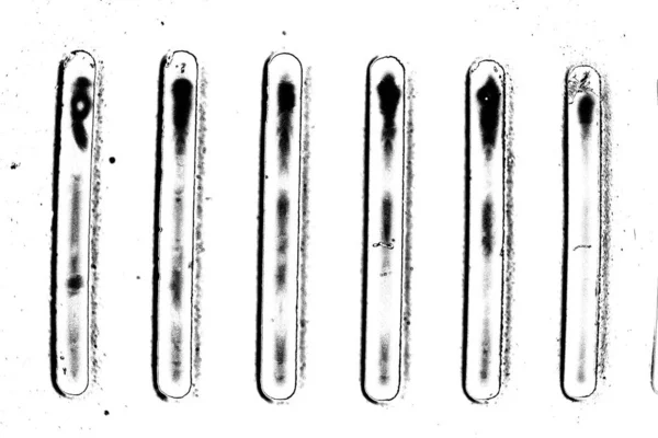 Sfondo Astratto Struttura Monocromatica Bianco Nero Sfondo Strutturato — Foto Stock