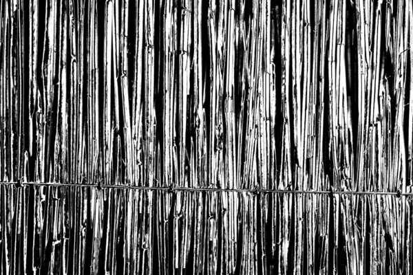 Abstract Monochrome Texture Black White Tones — Stock Photo, Image