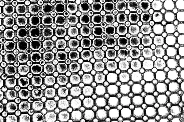 Абстрактный Фон Монохромная Текстура Изображение Эффектом Черно Белых Тонов — стоковое фото