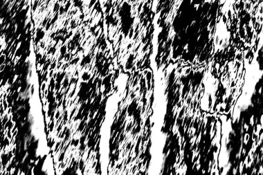 Siyah ve beyaz tonlarda soyut monokrom dokusu 