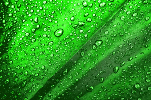 Water drops on the fabric. Water drops on green background. Condensate. Water drops background.