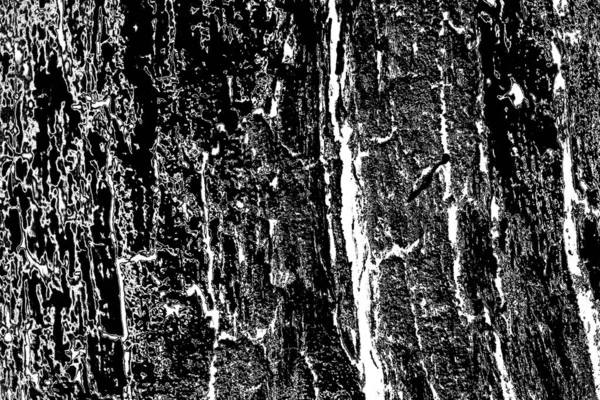 Abstract Background Monochrome Texture Image Including Effect Black White Tones — Stock Photo, Image