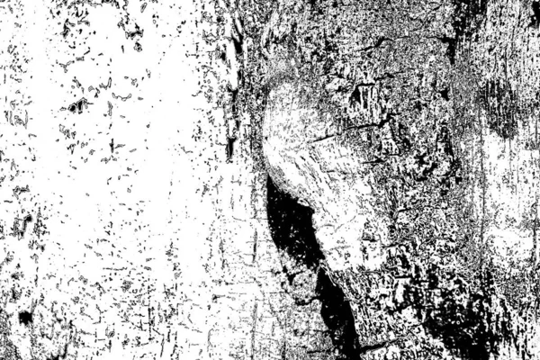 Sfondo Astratto Texture Monocromatica Immagine Compreso Effetto Toni Bianco Nero — Foto Stock