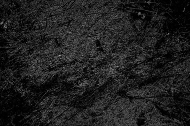 Soyut arkaplan. Monokrom dokusu. Siyah ve beyaz tonlarının etkisiyle görüntü.