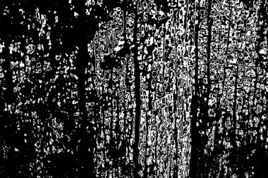 Soyut arkaplan. Monokrom dokusu. Siyah ve beyaz desenli arkaplan. 