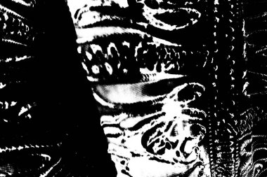 Soyut arkaplan. Monokrom dokusu. Siyah ve beyaz tonlarının etkisiyle görüntü.