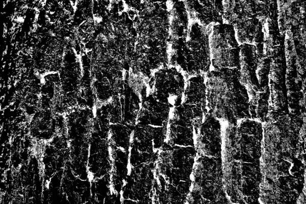 Abstract Black White Texture Scratches Cracks — Stock Photo, Image