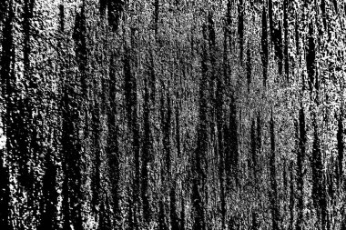 Çizik ve çatlaklarla soyut siyah ve beyaz doku