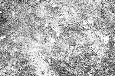 Soyut arkaplan. Monokrom dokusu. Siyah ve beyaz tonlarının etkisiyle görüntü.