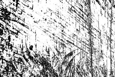 Soyut arkaplan. Monokrom dokusu. Siyah ve beyaz tonlarının etkisiyle görüntü.