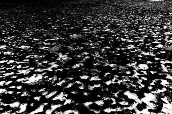 Fondo Texturizado Abstracto Blanco Negro — Foto de Stock